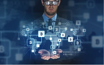 Shared blockchain records for partners and auditors