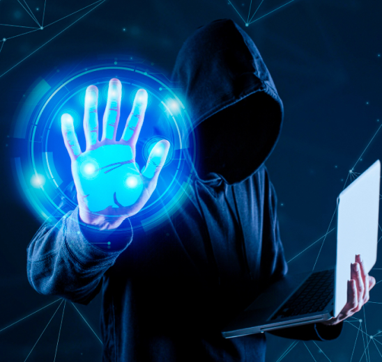 Fraud Detection and Risk Intelligence