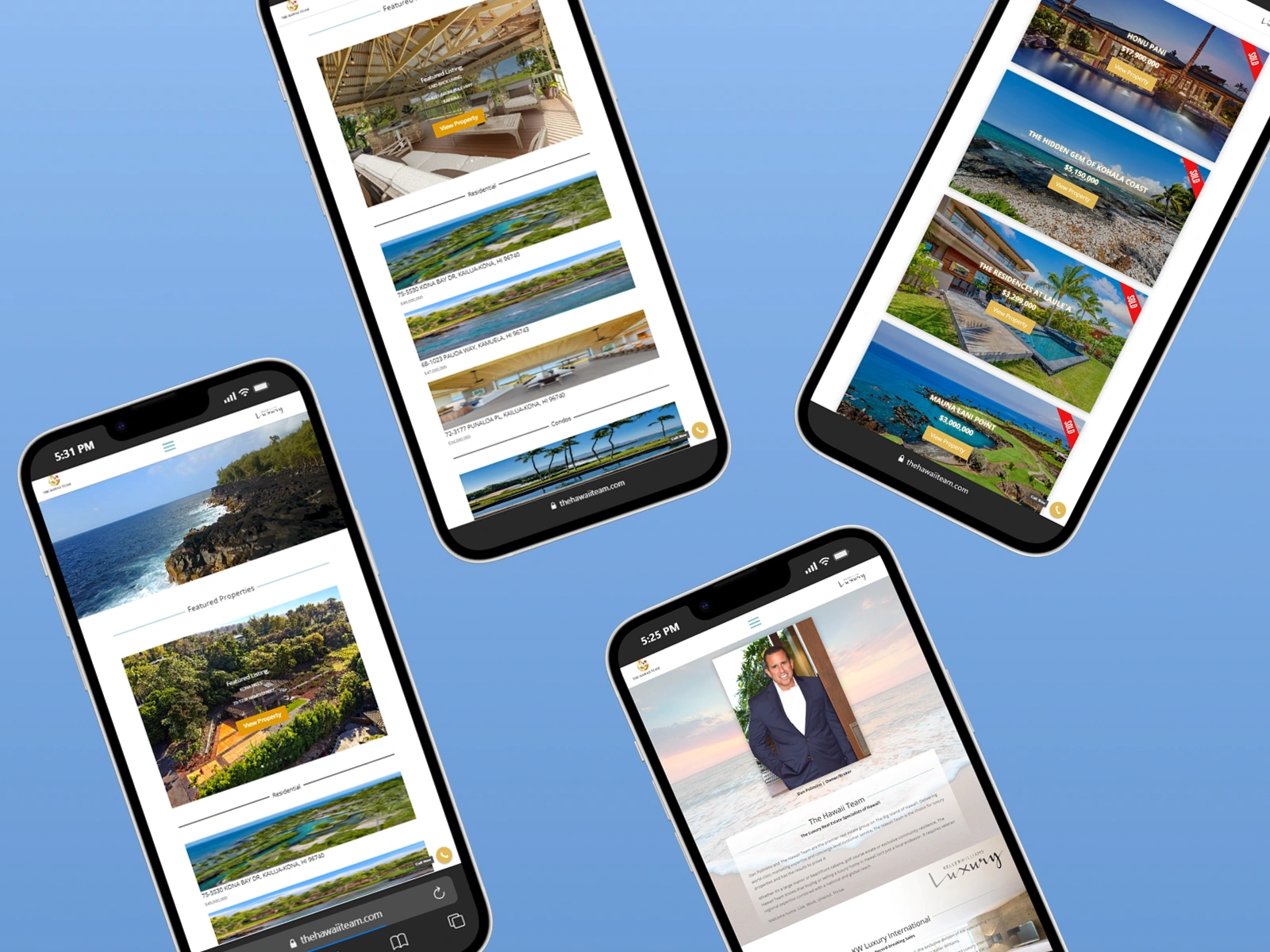 The Hawaii Team case study screen