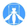 OWASP ASVS