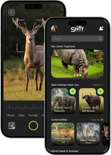 Animal Log App built by JPLoft
