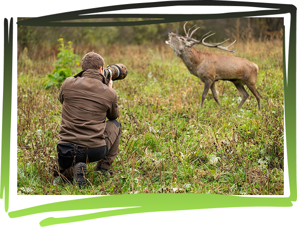 Result & Business Impact