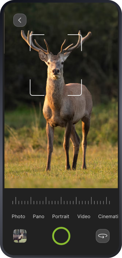 animallog app screen