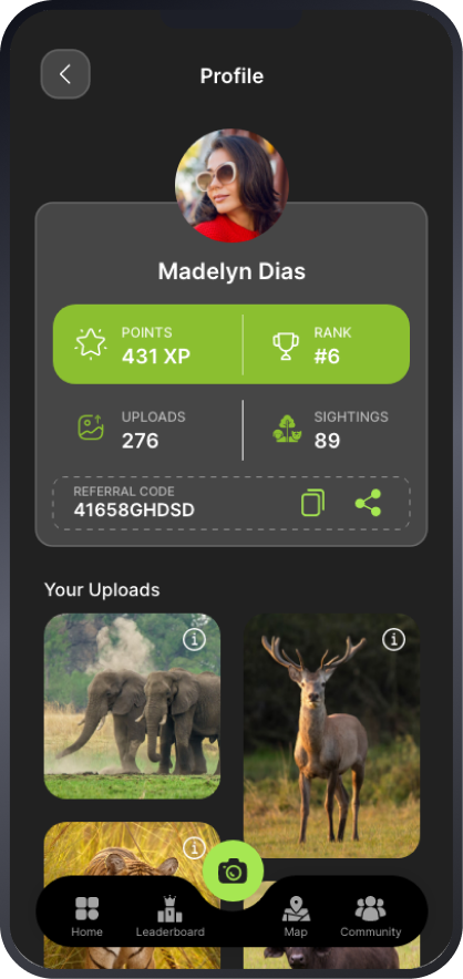 animallog app screen