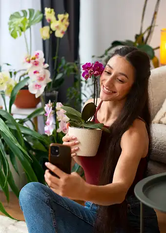 Flower and Bouquet Chain Apps