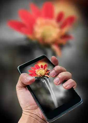 Charity Flower Delivery Apps