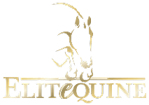 Elite Equine logo