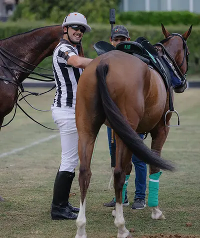 Equestrian Learning & Training Apps