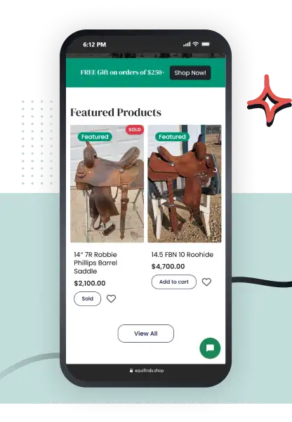 Project Solutions