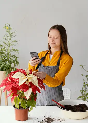 Event-Based Flower Delivery Apps