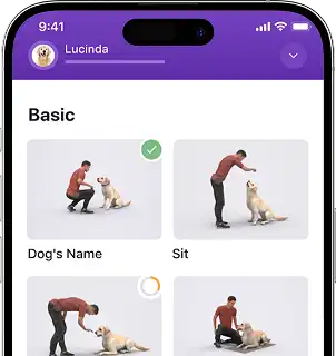 Gudog App Clone