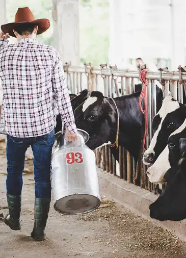 On-Demand Milk Delivery Apps