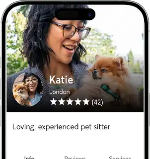 Rover App Clone