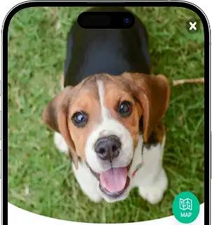 Wag! App Clone