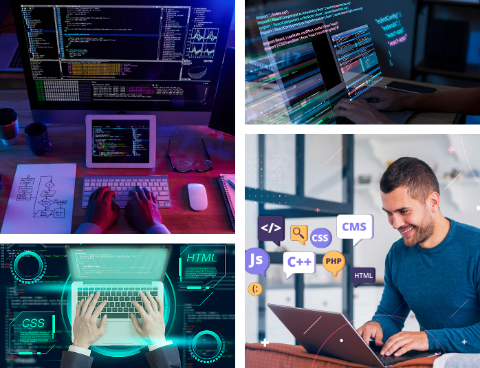 Website development