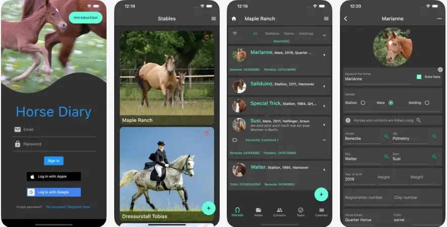10+ Top Equine Apps for Horse Owners and Riders