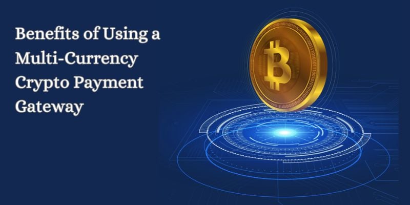 Benefits of Using a Multi-Currency Crypto Payment Gateway in 2024