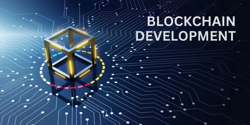 The Developer's Guide to Blockchain Development 2024