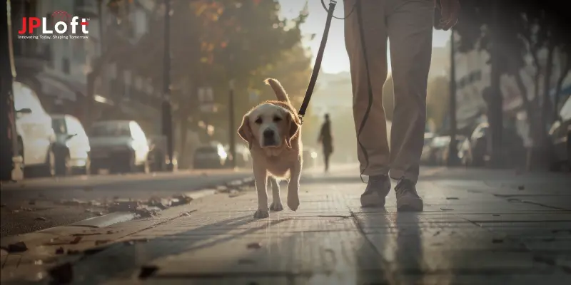 Dog Walking App Development Guide in 2026