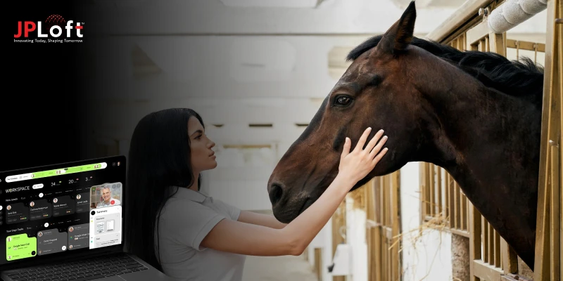 Reasons to Invest in Stable Management Software